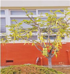 2025. 학생회 주관 세월호 참사 추모 행사 운영